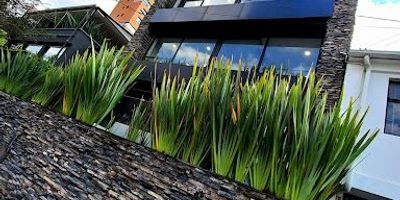 Edificio ubicado en Santa Ana Occidental, edificación biosegura con un área total de novecientos veintiún metros cuadrados y tiene todos los servicios públicos