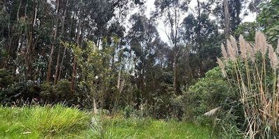 Tenemos a la venta el mejor  Lote de tres mil noventa y seis metros cuadrados con vista inigualable, fácilmente el mejor conjunto de la Sabana a sólo 1 minuto de Bogotá. Conjunto con 100 lotes 75 casas ya construidas y habitadas aproximadamente. El conjunto tiene Gimnasio dotado con máquinas profesionales de última tecnología Life fitness de bodytech, 2 canchas de tennis profesional, Cancha múltiple, Seguridad perimetral y dos porterías y Sede social con bbq