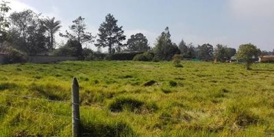 Excelente lote ubicado a una cuadra del CAI de Guaymaral, vía Guaymaral, sector tricitico, área cuatro mil quinientos. Usos Principales Ecoturismo Agroforestal Forestal protector Forestal productor. Usos Compatibles Recreación pasiva Dotacional de seguridad Usos Condicionados Pecuario Comercial de vereda Comercial minorista Dotacional de culto Dotacional educativo Dotacional de salud y asistencial Agrícola Residencial campesino.