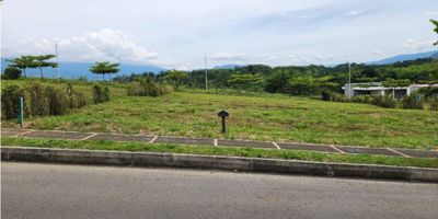 VENTA ESPECTACULAR LOTE CAMPESTRE VITERBO 

este espectacular lote de 240 m2 esta ubicado en un maravilloso condominio  club - spa en el km 30 via cerritos- viterbo carretera troncal de occidente excelente clima ubicacion y lugar para construir la casa de tus sueños.

EL CONDOMINIO CUENTA CON :

-parque acuatico-tobogan-mini park-isal tropical-snack bar y solarium -club social-minimarket  y terraza bar 

parque ecologico ,kioscos, cicloruta ,bosques de guadua ,reserva ecologica ,caminos de trote y estaciones naturales .

spa , gimnasio,jacuzzi,sauna,baño turco,sala de estetica ,sala de belleza,piscinas,salon de evento y juegos ,zona deportiva ,canchas multiples y de futbol ,cancha de tenis, parque infantil

vigilancia 24/7 -porteria 
