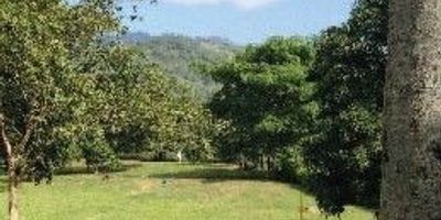 Precioso terreno con posibilidad de construir una casa de hasta ochocientos cincuenta m2, con servicios públicos, una suave topografía, el tamaño permita tener huerto de frutas. El valor del terreno incluye el proyecto arquitectónico acoplado a las necesidades del cliente y una membresía para jugar en el Campo de Golf Pitch  Putt