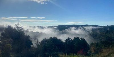 Hermosa Casa Campestre en Santa Elena – Naturaleza, Confort y EstiloSi sueñas con vivir rodeado de naturaleza, con todas las comodidades modernas y una vista inigualable a las montañas, esta casa campestre en Santa Elena es perfecta para ti.
Características GeneralesÁrea construida: 128 m² y 1.400 m² de área libreUbicación: Corregimiento de Santa Elena – entorno natural privilegiadoEstilo arquitectónico: Rústico moderno, con acabados cálidos y funcionalesDistribución4 habitaciones con piso en madera y Vestier, espacios pensados para el descanso y la privacidad3 baños: dos completos y uno social (sin ducha)Sala-comedor amplia, con excelente iluminación naturalEstudio ideal para teletrabajo o zona de lecturaCocina integral con isla, moderna y funcional, perfecta para compartir momentos en familiaZona de parqueadero privadaVista panorámica a las montañas, que te conecta con la tranquilidad del entornoServiciosAgua veredalInternet incluido, ideal para quienes necesitan estar conectados sin