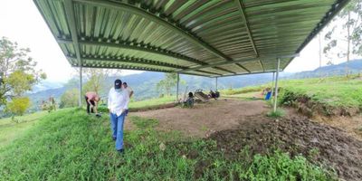Finca ganadera de 23 plazas en Buga Valle, a 20 minutos del Batallón Palacé por via pavimentada, vereda Janeiro, acueducto veredal y quebrada a orilla del predío, energía, tiene casa para mayordomo (requiere baterias sanitarias y conectar energía) y una enramada, esta sembrada con pastos puntero y brachiaria. Cercas nuevas, excelente para cultivos de Café, Platano o para construir GLAMPING y proyecto turístico, Por su topografia y la vista a todo el Valle del Cauca. Se recibe permuta.
