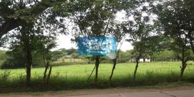 Vendemos Lote – terreno En la prolongación de la carrera 4 con calle 41, vía que comunica a Cartago Valle del Cauca con el Estadio de Futbol, área 26.900 m2, ubicado sobre la vía pavimentada, 122.83 m2 de frente y 72.29 m2 de fondo, con profundidad de 322.16 metros lineales. Ideal para proyectos comerciales, desarrollos logísticos (oficinas, bodegas, etc), utilización para vivienda (unifamiliar o multifamiliar). De acuerdo con el actual POT de Cartago, el predio hace parte de la denominada Zona de Expansión, a 1.57 kilómetros de las instalaciones aeroportuarias (no hace parte del cono de aproximación)  
