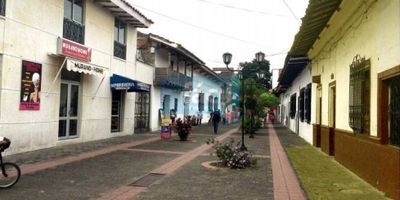 Vendemos amplia CASA en el centro de Cartago Valle del Cauca, área 451 m2 construidos en lote de 974 m2, dos locales comerciales con acceso independiente y baño individual, 5 habitaciones, 5 baños, sala comedor, cocina, dos patios, excelente ubicación en la Carrera 4a. en pleno centro de la ciudad, accesos por Cra 4 o calle 13.
