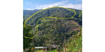 Vendemos lote de terreno, con vista al lago Calima desde el Occidente, para desarrollar actividades Eco-turisticas, tipo Glamping, avistamiento de aves, o Para cabaña exclusiva en medio de bosques y naturaleza pura, con área total de 160.801 m2 en ladera. Esta ubicado en la Vereda Puerta Negra del Municipio de Restrepo Valle del Cauca, a 700 mts de la doble calzada de Buga a Loboguerrero. Cuenta con servicio de energía y agua. El terreno inicia desde la quebrada y va hasta la parte superior desde donde se aprecia a todo el lago Calima.
