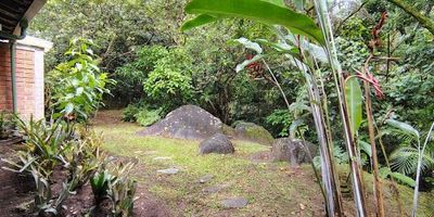 Se arrienda amplia propiedad de 330 m² construidos y 500 m² de área privada, ideal para oficinas o empresas. Ubicada en zona estratégica, esta casa ofrece espacios generosos, iluminados y funcionales que se adaptan a múltiples usos corporativos. Cuenta con varias áreas independientes, salones para reuniones, baños múltiples y cocina. Su diseño permite adecuaciones según necesidades específicas. Además, dispone de parqueadero y zonas verdes que aportan confort y buena imagen empresarial. Perfecta para empresas que buscan un entorno profesional, tranquilo y bien ubicado. Excelente oportunidad para establecer su negocio en un lugar versátil, cómodo y representativo. ¡Contáctenos para agendar visita!