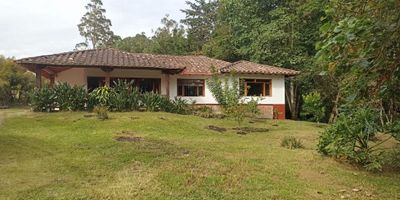 Casa en arriendo en Rionegro sector Barro blanco. 

Cuenta con 2.500 m2 de lote total, 280m2 construidos, 3 habitaciones con clóset, 3 baños completos, sala comedor, cocina semi integral, patio de ropas y corredores externos.
Con posibilidad de parquear 3 vehiculos en la parte externa, lote aprovechable con zona bbq. 
Cerca de Llanogrande y vías de acceso a Túnel de Oriente.