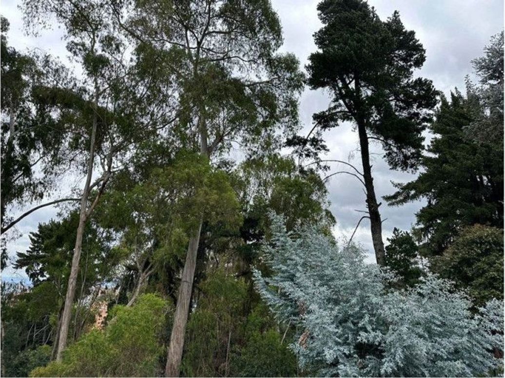 Casa de 4 alcobas en venta en El Seminario, Bogotá, 830 m² · foto 17 de 18