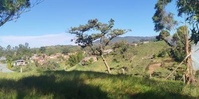 Lote en venta en Vereda las Garzonas, Carmen de Viboral primer piso de 34705 m2 aproximadamente, cuenta con lindos paisajes y amplioAdicional tiene rutas de acceso y transporteCercanías:Vía Principal, Colegio, el Pueblo, Transporte Público