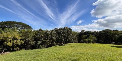 En el sector de <strong>Cerritos </strong>  en la via Pereira, Cartago, justo al lado del <strong>Club Campestre de Pereira</strong>  Ocho <strong>Lotes</strong> disponibles para construir como sueñas tu casa. Via de Acceso Pavimentada, un excelente entorno natural que colinda con el Club, toda una reserva natural. 
Lotes con servicios públicos a punto cero.

Facilidad de Pago. 

Lotes con Áreas desde 1738 mts, hasta 3050 mts, el valor por m2 varia dependiendo de Ubicación, Área y Topografia de los lotes.

Lote D2, cuenta ya con casa construida, que se puede vender, el lote es de 2924 mts y la casa tiene una área de 670 mts, con 3 habitaciones y en el piso inferior parqueaderos y 2 apartaestudios. 

Los Lotes están desde 190.000 a 230.000 M2

Lote D3	área: 2971
Lote D4	área: 2381
Lote D5	área: 2787
Lote D6	área: 3060
Lote D7	área: 1738
Lote D8	área: 3050

Facilidad de Pago, según la necesidad del Comprador.
Confirmar Disponibilidad de los lotes
