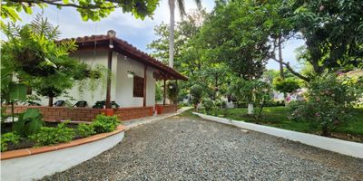Venta de finca con hermoso lote y una agradable zona húmeda cerca del parque principal de santa fe de Antioquia.

Cuenta con un hermoso lote de 1349 m2, con arboles frutales, una agradable zona húmeda, juegos infantiles, 3 habitaciones, 2 baños, con posibilidad de un tercer baño, una amplia y hermosa cocina y unos agradables corredores alrededor de casi toda la casa.

Por su ubicación estratégica a pocas cuadras del parque principal de santa fe de Antioquia, su agradable zona húmeda y su jardín, es el lugar ideal para disfrutar en familia e incluso para generar ingresos de renta corta por airbnb y otras plataformas. 

 

 

NOTA ACLARATORIA: Puede haber diferencias en las áreas suministradas en esta publicación, al momento de la negociación se deben verificar por escrituras públicas debidamente registradas.
