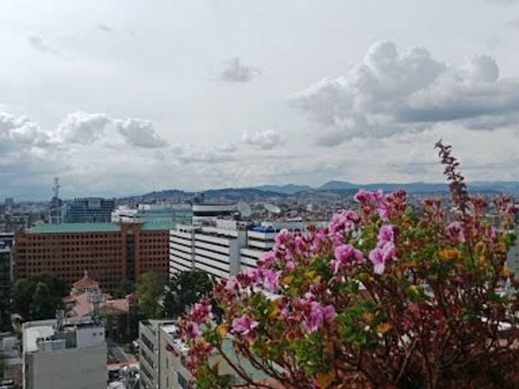 Apartamento de 4 alcobas en venta en Chicó Norte, Bogotá, 287 m² · foto 2 de 20