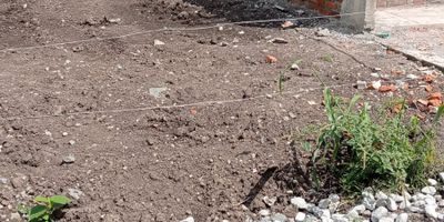 Excelente oportunidad de inversión en este maravilloso lote ubicado en la Urbanización Palmares de la Perla, con todos los servicios, en la hermosa  ciudad de GINEBRA, a solo 30 minutos del Norte de Cali, famosa por el festival Mono Núñez, su gastronomía y sus restaurantes típicos, con los mejores Sancochos de Valle y del país. 
El Lote cuenta con un área de 100.88 metros cuadrados, donde podrás construir el hogar de tus sueños. Su ubicación estratégica garantiza un entorno tranquilo y seguro, acogedor y rodeado de naturaleza, ideal para familias que deseen materializar sus sueños de vivienda propia.
Contáctanos hoy mismo!!