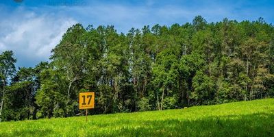 Bienvenidos a nuestro proyecto inmobiliario Agro parcelación ALTAMONTE con un gran compromiso ambiental. Un lugar para convivir con la fauna y la flora de un espacio nativo y silvestre, un gran parque para recorrer y vivir la vida a otro ritmo, a gusto con la privacidad y la naturaleza, 51 familias, reservas privadas desde 1370, hasta 2351 metros. Queremos que vivas la sensación de estar entrando a una reserva natural, con zonas comunes cómo salón social, juegos infantiles, y una reserva natural la cual contara con decks y una vista maravillosa 