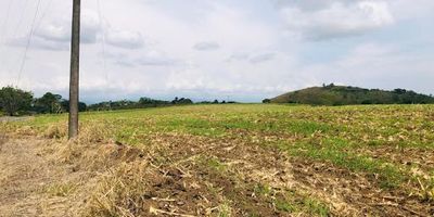 Lote disponible para la venta en Cerritos, cuenta con 40.000 mts2, son 15 lotes en total, se entrega con matricula inmobiliaria, diseño de vías, implantación y loteo, diseños arquitectónicos de portería. Para más información contáctanos... Castellón Inmobiliaria 