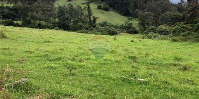 ID: 660681002-15

"Un Oasis en La Calera: Lote de Ensueño en Venta"

Descubre el paraíso perfecto en La Calera, Cundinamarca, donde la naturaleza y la comodidad se fusionan en este espectacular lote en venta. Ubicado en la prestigiosa dirección de San Vicente 2, este lote residencial de 52,000 metros cuadrados se presenta como una oportunidad ideal para aquellos que buscan invertir o construir la casa de sus sueños.

Con permisos ya aprobados, este lote está listo para dar vida a tus proyectos. Destacado por su accesibilidad al tránsito y transporte público cercano, la ubicación privilegiada de este terreno asegura una conexión fácil con los servicios urbanos mientras te sumerges en la tranquilidad de la naturaleza. La zona es famosa por su serenidad, ubicada al norte de La Calera, ofrecendo impresionantes vistas a las montañas que te permitirán disfrutar de cada amanecer.

Además, cuenta con servicios de gas natural y agua potable, lo cual facilita la conexión con las comodidades básicas que necesitas para comenzar a construir de inmediato. Las vistas exteriores de este lote son simplemente espectaculares, ofreciendo un panorama único donde el aire puro y el entorno verde crean una atmósfera perfecta para vivir.

Aprovecha esta rara oportunidad de inversión en uno de los rincones más tranquilos y bellos de Cundinamarca. Conéctate con la naturaleza sin abandonar las comodidades urbanas. ¡No esperes más para hacer realidad tus sueños!
