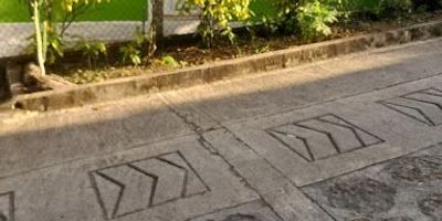 Se vende casa-lote en pradilla- cundinamarca. Via a mesitas del colegio, después del zoológico santa cruz, el lote consta de gran variedad de cultivos como cafe, guanabana, mandarina, limones, aguacates, ahuyama, etc. Tierras excelentes para cualquier clase de cultivo. La casa consta de tres habitaciones, un baño, un garaje, cocina, sala comedor