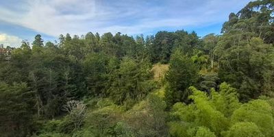 Hermoso apartamento en arriendo, ubicado en una zona muy segura y tranquila de rionegro, cuenta con hermosos acabados, buena iluminación natural, cerca de universidades, restaurantes, centros comerciales, etc. la unidad cuenta con zonas sociales a disposición de todos los residentes, portería y vigilancia 24/7. Código Abad Faciolince APA8995 Asesor Santiago Arroyave 3155022257