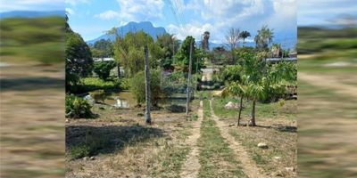 ID: 660681002-199

¡Descubre una oportunidad excepcional de inversión en Fusagasugá, Cundinamarca! Este lote comercial, a la venta con la mejor oferta del mercado, es una joya rara en una ubicación estratégica en el encantador barrio de Los Panches. este lote se mantiene en buen estado desde su construcción en mayo de 2001.

Con un área total de 12,053 metros cuadrados, este espacio generoso ofrece un sinfín de posibilidades para el desarrollo comercial. La misma área está destinada al uso residencial o de campo, ofreciendo una versatilidad única. La ubicación es, además, fácilmente accesible gracias al transporte público cercano, lo que lo posiciona como una inversión atractiva.

Los visitantes y usuarios del lote disfrutarán de una zona tranquila y pacífica, con una vista abierta que complementa el ambiente relajante de una zona turística. La accesibilidad al tránsito y su proximidad a importantes centros urbanos hacen de este terreno una oportunidad ideal para aquellos que buscan expandir su portafolio de inversiones en una región en auge de Colombia.

En resumen, este lote es una oferta irresistible para quienes deseen sacar el máximo provecho de su potencial comercial en una ubicación clave y en continuo desarrollo como Fusagasugá. Aprovecha esta oportunidad de inversión y sé parte del crecimiento económico de la región. ¡Contacta hoy para más información y asegura tu lugar en el mercado!
