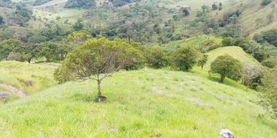 Finca en venta en parcelación cerrada con 35 lotes. Cuenta con lote de 5948 metros y casa en adobe de 90 metros construida hace tres años. Tiene dos habitaciones, sala comedor, cocina abierta, baño, corredores amplios, piscina pequeña, zona de asados y duchas externas. Rodeada de árboles frutales y paisajismo natural. Escritura independiente, energía EPM y agua veredal. Acceso por carretera pavimentada y placa huella. Desde la vía principal hay 300 metros, 200 en afirmado. Ubicada en la vereda Cuatro Esquinas, a 10 minutos del pueblo, 15 de la vía principal, 10 de Porcesito y 35 de la estación Niquía. Zona de alta valorización, ideal para descanso.