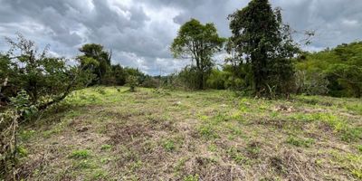 ? ¡Invierte en Naturaleza, Descansa en Rentabilidad! ?

 

Lote Campestre en Alcalá - Vía a Filandia | El mejor precio de la zona

 

Descubre esta “joya natural” ubicada en la zona de mayor crecimiento turístico del Eje Cafetero. A tan solo, 50 minutos de Pereira y 40 de Armenia, cerca al parque del café, panaca, poblaciones como Quimbaya, Montenegro, este lote campestre independiente sobre vía alterna, es perfecto para construir tu casa de descanso, ecohotel, glamping o cualquier proyecto turístico que tengas en mente.

 

✔️ Ubicación privilegiada: entre hoteles, finca-hoteles y casas campestres.

✔️ Entorno exclusivo: zona tranquila, silenciosa, rodeada de bosque nativo.

✔️ Panorámica inigualable: vista abierta al paisaje cafetero.

✔️ Conectividad y privacidad en equilibrio perfecto.

 

? ¡Aprovecha esta gran oportunidad!

 

El precio más económico del sector, con proyección de valorización acelerada por el desarrollo turístico de la región.

 

? Contáctanos hoy mismo y asegura tu lugar en el paraíso. Cel 3128312584.

 

¡Los mejores proyectos empiezan con una buena decisión de terreno!

