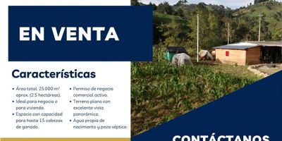 ? VENTA DE FINCA EN VEREDA ZANCUDITO - BELMIRA ✨
Descubre esta propiedad ideal para vivir, emprender un negocio campestre o desarrollar proyectos agropecuarios, ubicada en la Vereda Zancudito (parte baja).

? Características de la propiedad

Área total: 25.000 m² aprox. (2.5 hectáreas).
Ubicación: Vereda Zancudito, Belmira.
Dos viviendas: Una ideal para negocio y otra para vivienda/mayordomo.
Potencial Productivo: Espacio con capacidad para hasta 15 cabezas de ganado. ?

Documentación: Permiso de negocio comercial activo.

? Servicios y Exteriores
Terreno plano con excelente vista panorámica.
Agua propia de nacimiento y pozo séptico.
Jardín y amplios espacios de potrero.
Parqueadero para visitantes.

? Ubicación Privilegiada
En la vía principal San Pedro – Belmira.
Zona central: Cerca del Colegio Carlos González, canchas deportivas, tiendas y negocios.
Acceso fácil al transporte público.
? Un espacio con encanto natural, listo para tu proyecto.

? Agenda tu visita y conoce tu próxima inversión.

Continente Inmobiliario ✨ *"Tú lo sueñas, nosotros lo encontramos"*
