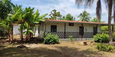 Codigo: 955FR5539 : Con 9027.67 m2, este hermoso terreno con casa  para vender en Montería, Córdoba, se encuentra en una zona campestre, rodeado de paisaje natural. El área privada es igualmente grande, lo que le brinda múltiples opciones para desarrollar su proyecto sin comprometer el entorno natural.

Cuenta con varias construcciones: una casa distribuida en habitacion principal con baño interno y jacuzzi, 2 habitaciones con baño interno, sala-comedor, cocina integral y zona de lavado; apartaestudio con baño interno destinada para oficina;  Kiosco y establo.

El terreno se encuentra en la vereda Boca la Ceiba una ubicación privilegiada con buen acceso, es un lugar ideal para disfrutar de días tranquilos y relajantes rodeados de hermosos paisajes con arboles frutales. Esta propiedad también será un gran atractivo para proyectos donde pueden disfrutar del ambiente natural y la vista.

Las vistas alucinantes que ofrece el terreno lo hacen una excelente inversión para aquellos interesados en propiedad única, con  visión de paz, tranquilidad y que buscan vivir la vida libremente. ¡Venga a verlo y descubra el potencial de este terreno!

Nota: El valor es negociable.
