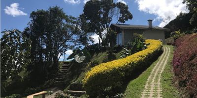 Casa Campestre en Rionegro, Sajonia, para Arriendo
Situada a tres kilómetros del Túnel de Oriente, por donde se llega a Medellín en 15 minutos, puede estar excento de peaje, apropiada para Una o Dos Personas, en *Conjunto Cerrado* muy seguro, de cuatro fincas y con la más maravillosa *Vista Panorámica* sobre el Aeropuerto y sobre todo el Valle de Rionegro.

Cuenta con: Sala Comedor con Chimenea y Cocina, Una Habitación Independiente, Un Baño, Cuarto de Ropas para lavadora y secadora.

Con muy buen Internet Wi-Fi Tigo.

Hay buenos Supermercados y Restaurantes cerca,
