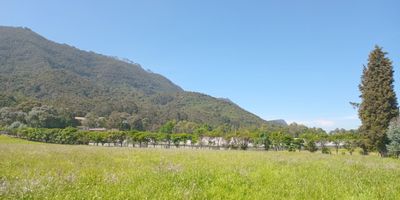 Lindo lote localizado en conjunto cerrado cerca a Tenjo (Agrupación Meridor), dos porterías vigiladas, buenas vías de acceso, hermosa vista a las montañas, vecindario tranquilo, caminos ecológicos para caminatas y bicicleta, tiene punto de luz con contador, punto de agua autorizado al tener la licencia de construcción, permite construir 4000 m2, dos casas, dos pisos. También uso agropecuario intensivo, mecanizado o altamente tecnificado y forestal.