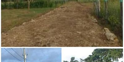 L.A VENTA DE LOTES EN ARBOLETES – PARCELACIÓN SAFARI EN MOÑITOS 

 Ubicación: Municipio de Arboletes, Parcelación Safari en Moñitos
 Características de la parcelación:


 Vías internas embaldosadas 
 Garita de portería en obra blanca
 Portón principal 
 Pozo profundo y pozo mecánico 
 Fachada externa de loteo
 Red eléctrica completa:
 
  Postes de luz, pantallas de alumbrado público
  Transformador de 37.5 KVA para alta calidad y rendimiento de energía 
  Acometida de agua cerca a cada lote
  Conexiones de agua, postería y cableado de energía
 
 


 Zona común para descansar:


 Asoleadoras en palma 
 Mesa en cada asoleadora y sillas ðª
 Parque infantil ð
 Libre de todo gravamen
 Predial : 400.000 Anuales


 ¡Gran oportunidad para vivir o invertir en un entorno natural y tranquilo!

 ¡Contáctanos para más información y conocer los lotes disponibles!