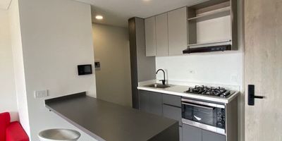 Descubre la elegancia y comodidad en este exclusivo apartamento ubicado en el corazón de la ciudad. Con una distribución inteligente de 40 metros cuadrados, esta propiedad ofrece una habitación amplia y luminosa, perfecta para descansar y relajarse. El baño moderno y funcional añade un toque de sofisticación al espacio. Además, su ubicación estratégica brinda acceso a una amplia variedad de servicios y comercios. Vive la experiencia de lujo y confort en este encantador apartamento. ¡No pierdas la oportunidad de hacerlo tuyo!