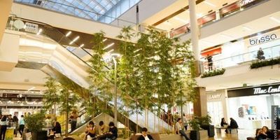 Este local para alquiler se encuentra en una ubicación privilegiada en el Centro Comercial Salitre Plaza en la ciudad de Bogotá, específicamente en una de las zonas más populares y de mayor movimiento comercial de la ciudad.

Con una amplia área construida de 49 , este local es ideal para desarrollar cualquier tipo de negocio. Uno de los aspectos más destacables de este inmueble es que cuenta con todos los servicios básicos necesarios para su funcionamiento, incluyendo agua y electricidad. Además, cuenta con un depósito para el almacenamiento de mercancías o insumos.

No pierdas la oportunidad de ser parte del creciente movimiento comercial de esta ciudad y contáctanos ahora para más informació