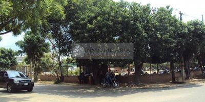 Casa Liberty presenta exclusivo lote de 5.084 metros cuadrados de lote para construir, con una excelente ubicacion, el sector es industrial, altamente transitado, ubicado en la zona industrial de la ciudad, con uso de suelos mixtos, cercano a parques, industrias, comercializadoras, transporte publico, la zona esta en desarrollo empresarial e industrial, con vias y accesos amplios y pavimentados. cod 100109