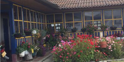 Ubicacion: 

Finca Ubicada en el Valle del Cauca - Municipio de Tulua - Corregimiento Barragan , a la cual se puede acceder desde el Municipio de Buga, Sevilla , Tulua y Roncesvalles -Tolima  , 65 kilometros del Municipio de Tulua a la finca- de los cuales 27 son pavimentados, 55 kilometros del Municipio de Sevilla a la finca por carretera destapada.

La distancia del pueblo a la finca es de de 3 kilometros .

Caracteristicas:

Tierra apta para desarrrollo de proyectos de ganaderia de ceba y ganado lechero, para cutivos de clima frio ( papa, fresa, avena , cebada , kinua, zanahoria, etc. etc.)

En la actualidad se realiza la explotacion agricola y ganadera de forma simultanea.

Terrenos tractorables en su totalidad, suelos drenables, cenizas volcanicas y con muy buena capa vegetal.

Sus pastos estan conformados por : kikuyo, azul orchoro y mezclas lecheras

Posee buenas aguas,  zonas de proteccion de nacimientos y reforestacion de zonas boscosas ( aproximadamente 16 hectareas).

Cercas vivas  en linderos y al interior

Piso termico: 

2900 msnm aproximadente - temperatura  promedio 14 grados.

Infraestructura:

Tres (3 ) Corrales para manejo de ganado. 

Cuatro (4) viviendas.

Tres (3) Bodegas para almecamiento de insumos y herramientas.

Establo 

Ramada de 200 metros cuadrados.

Cercas electricas.

Redes electricas en cada una de las viviendas.

Vias internas de aproximadamente Cuatro (4) kilometros 

Jagueyes  y tanques en concreto para almacenamiento  y riego de agua por gravedad.

Tambien se Permuta

 

 

 

 

 

 
