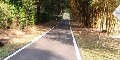 Este es un lote rodeado de verdes paisajes con todas las comodidades necesarias para vivir con confort en medio del sonido envolvente de la naturaleza. Con un área de 208 m2 en el condominio Sun Village, kilometro 7 vía Rio Claro/ Potrerito-Jamundí, excelentes vías de acceso y una ubicación privilegiada por su cercanía al centro urbano, con todas las comodidades que esto implica, pero a la vez inmerso en un entorno natural, este predio con un precio de 63.000.000que ofrece una gran oportunidad para quien quiere disfrutar de una excelente calidad de vida