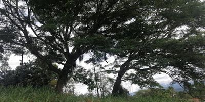 Se vende lote de 400 m² en exclusivo condominio privado, con vigilancia permanente y todas las comodidades que mereces. Cuenta con energía eléctrica, agua propia, cerca viva y escritura independiente. Disfruta de una topografía ondulada, rodeada de naturaleza y tranquilidad. Ideal para construir, invertir. ¡Agenda tu visita