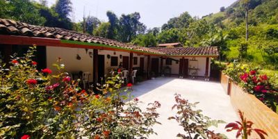 Finca en venta – Piedecuesta, Santander

Hermosa finca con 5 habitaciones, 2 baños completos y cocina amplia, ideal para descanso familiar o proyectos agrícolas.
Cuenta con 5 hectáreas de terreno, 4 parqueaderos descubiertos, y una vista panorámica inigualable.
Dispone de servicios públicos de agua y energía. Ubicación tranquila, perfecta para disfrutar del entorno natural.