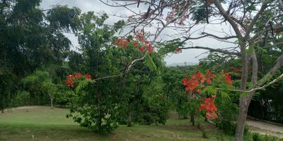 Inmueble con ubicación estratégica, localizado muy próximo al macroproyecto Serena del Mar, clínica del mismo nombre, Barcelona de Indias, colegios, playas de Manzanillo del Mar, aeropuerto y a tan solo 20 minutos del centro amurallado de Cartagena. Igualmente, estará muy próximo al proyecto de desarrollo urbanístico Azul de Arenas y su centro comercial Kristal Malls Cartagena Shopping Resort, cuyo diseño está concebido para ser el más grande de la Costa Caribe colombiana. Cuenta con servicio de agua potable, las redes de energía y gas se localizan adyacentes al lote. De acuerdo con lo establecido en POT, los usos principales corresponden a Residencial, Actividad Turística y Vivienda Temporal, dentro de los usos compatibles se contemplan Comercial I y Comercial II.