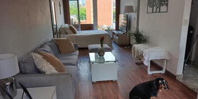 Si estás interesado en una excelente inversión te ofrezco Apartaestudio tipo loft con acabados hermosos y ubicación privilegiada en Laureles Nogal! Ideal para una pareja, estudiantes, personas solas, que amen vivir en tranquilidad y cerca de transporte público, universidades y colegios, centro comercial los molinos, metróplus y mucho más.

- Area 34 metros cuadrados 
- Es un espacio de diseño abierto donde converge la zona social , la cocina integral moderna y la habitación , además cuenta con balcón y vista panorámica, zona de lavandería independiente 
- Ascensor en piso intermedio 
- No parqueadero 
- No permiten AirBnb 
- Estrato 5 
- Administracion $197.100 mensual 
- Predial trimestral $123.000 
- Porteria 24/7 
- Pedido $250.000.000 negociables
Por ubicación y precio maravillosa opción como inversión ó para vivir en el 
Contáctame y agendamos una visita.