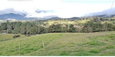 Espectacular lote de terreno de 21.807 mts, casa principal de doscientos ocho mts, consta de sala con chimenea, comedor, cocina con isla, tres alcobas con baño. Jacuzzi, sauna, turco y zona de masajes. Casa de huéspedes. Ocho pesebreras y establo. Quiosco, zona BBQ con asador y estufa a gas, horno en bareque y otro en ladrillo, mesón auxiliar y lavaplatos, piso en piedra. Instalación para eventos; cocina industrial, veinticinco mts