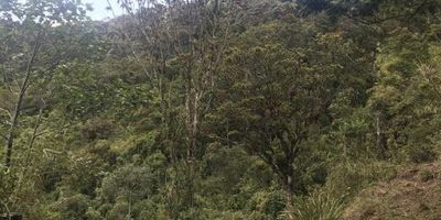 Lote de ocho mil hectáreas, rodeado de naturaleza, cerca a colegios y escuelas, excelente vista panorámica.