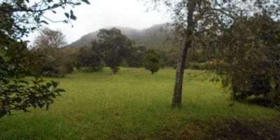 Excelente lote con un área de uno punto setenta y nueve fanegadas, con uso Residencial, todos los servicios. Lote queda contra la montaña