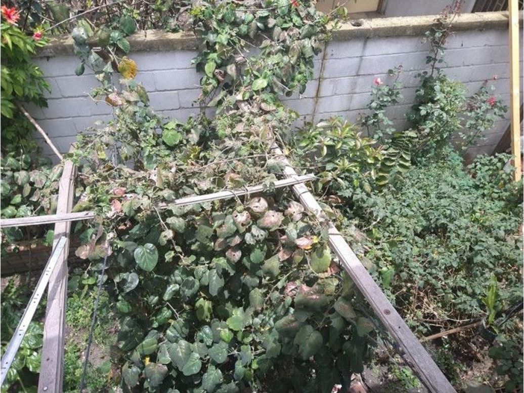 Casa de 3 alcobas en venta en Mandalay Et. Ii, Bogotá, 307 m² · foto 15 de 19