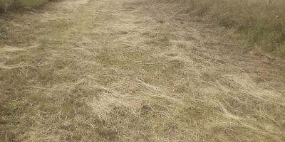 A 8 minutos del pueblo,  precio negociable, terreno plano