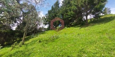 Vendo lote en Guarne, vereda La Clarita, con un área  de 5036 mt², topografía inclinada, cerca a la autopista Medellín - Bogotá, aeropuerto JMC, buenas vías de acceso, matrícula independiente.Vende Activos y Bienes, Inmobiliaria experta en administración, arrendamiento y venta de apartamentos, casas, locales, bodegas y oficinas en el Oriente Antioqueño, Medellín y toda el área Metropolitana. Información sujeta a cambios. Las imágenes de muebles, enseres, decoración y demás elementos son una referencia.