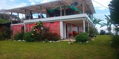 Vendo excelente finca Excelente ubicación en ginebra Valle la finca cuenta con 28,000 metros cuadrados con una casa construida de tres habitaciones dos baños sala comedor cocina y garaje y tiene casa para el agregado que tiene una habitación un baño sala comedor y cocina tiene una excelente terreno para ganado para galpones de gallinas para caballerizas informes 316 622 90 89