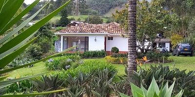 Arrienda esta hermosa casa campestre ubicada en la Vereda San Nicolás, La Ceja, ideal para quienes buscan tranquilidad, confort y amplias zonas verdes sin alejarse de la ciudad.
Área del lote: 7.000 m².
Área construida: 250 m².

Distribución:
Sala principal.
Sala de TV.
Comedor independiente.
Cocina integral.
Zona de ropas independiente.
Cuarto de servicio con baño.
2 alcobas auxiliares.
Baño social.
Alcoba principal con vestier y baño privado.
Servicios y comodidades:
Gas por pipeta.
Agua propia.
Energía eléctrica.
Amplias zonas verdes ideales para disfrutar del entorno natural.
Casa de mayordomo.
Jardinería incluida en el canon.
