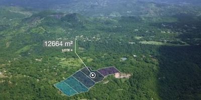 Maravilloso lote ubicado en la parcelación La Meseta, a 2.5 kilómetros de la plaza de Anapoima. Lote rectangular de nueve mil ciento cuarenta metros cuadrados, con un ancho de vista de ochenta y dos punto doce metros lineales, lo que ofrece una vista espectacular, tiene dos punto de agua, red eléctrica y aljibe compartido.