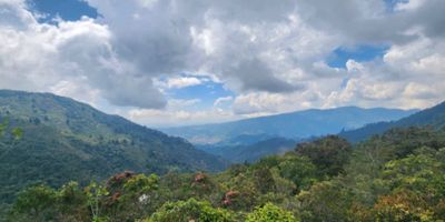 Cuenta con una explanación grande lista para construir, vista panorámica 360° al municipio de Caldas, matricula independiente.

El lote se encuentra en el sector la miel, dentro de una parcelación abierta rodeada de bosque nativo y quebrada. 

A tan solo 12,2 km del parque de Envigado.